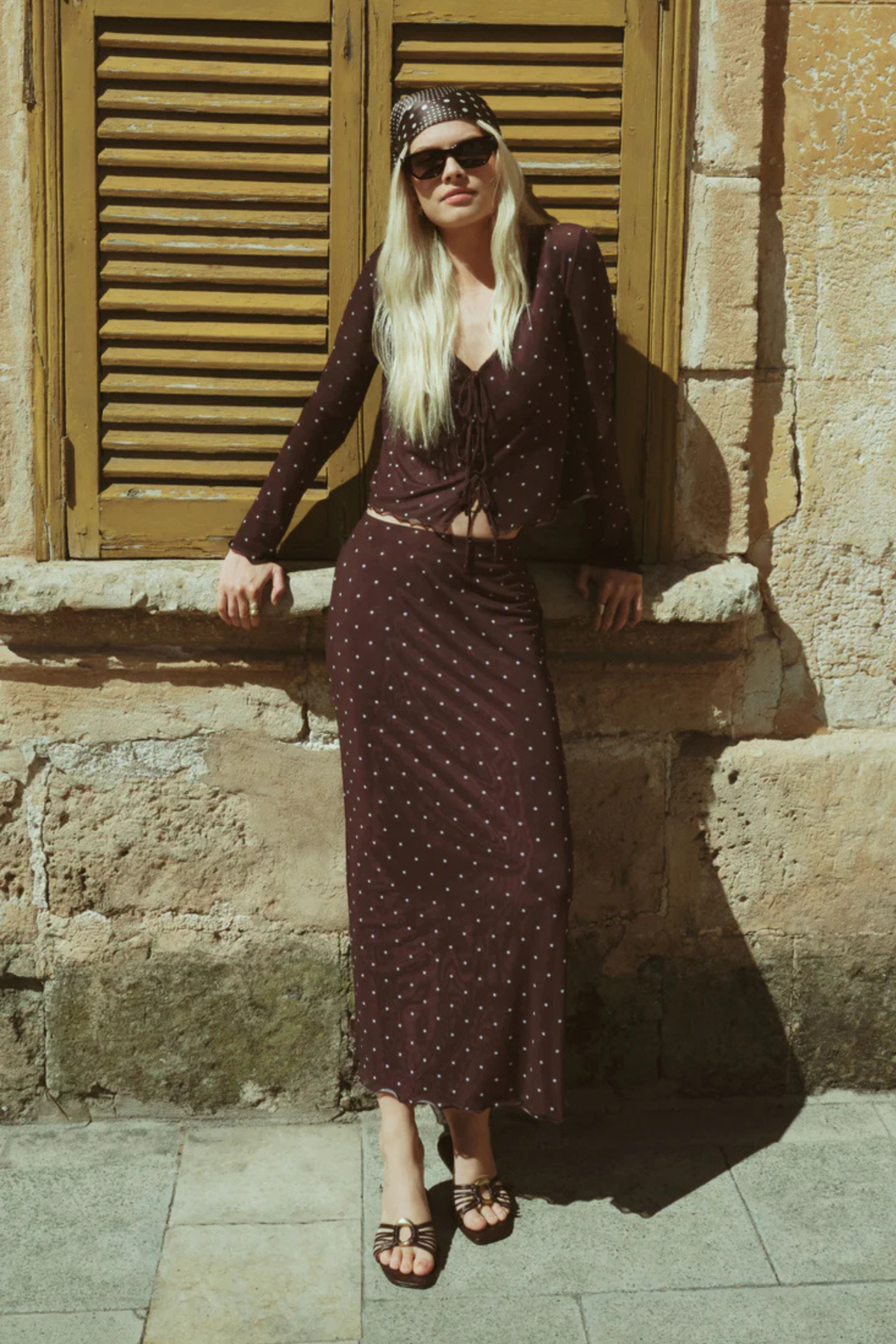 Z Supply - Amara Polka Dot Mesh Top - Dark Chocolate